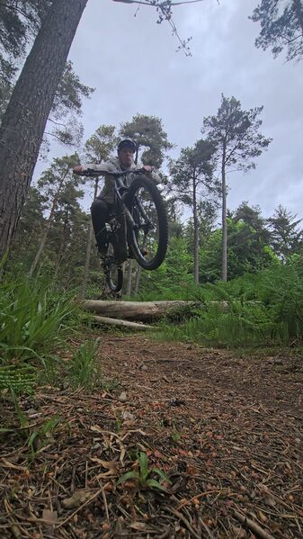 20260531_161805.jpg