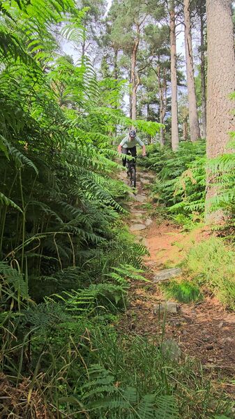 20260802_153324.jpg