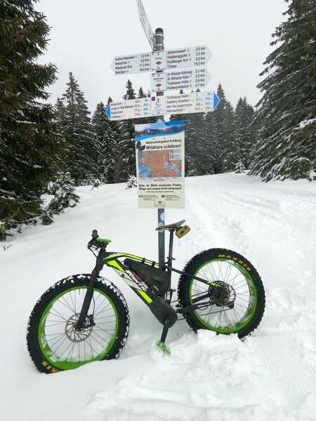 WhatsApp Image 2026-03-29 at 17.03.33 (3).jpeg