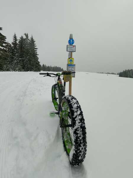 WhatsApp Image 2026-03-29 at 17.03.33.jpeg