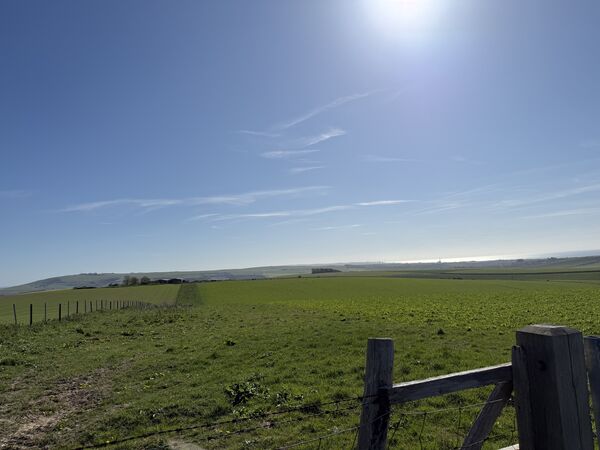 IMG_2012.jpeg