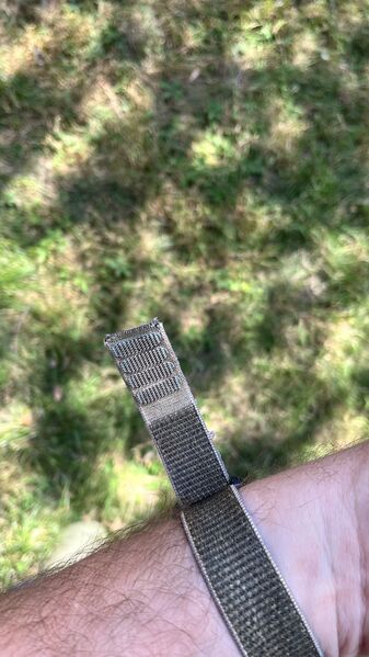 IMG_1275.jpeg