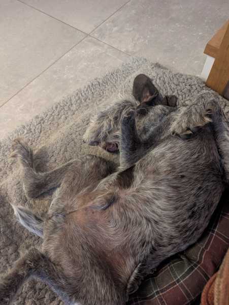 PXL 20250608 203012520 PXL 20250608 203012520