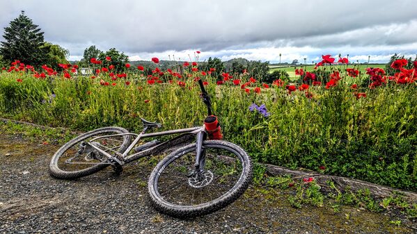PXL_20260617_071801145~2.jpg