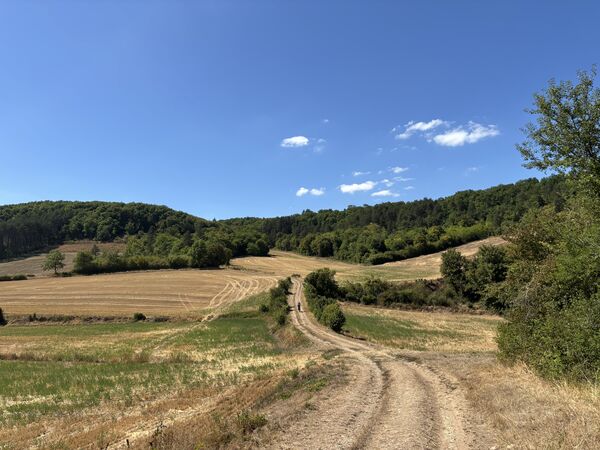 IMG_9514.jpeg