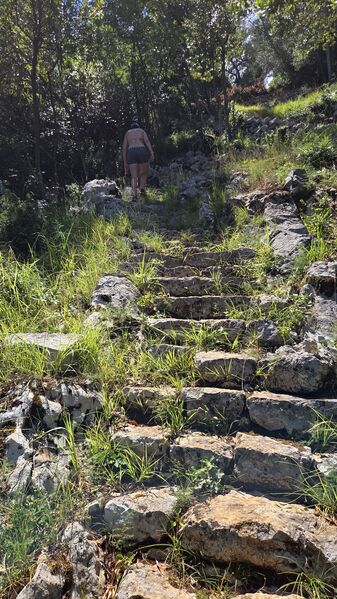 20260704_140847.jpg