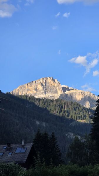 20260709_194040.jpg