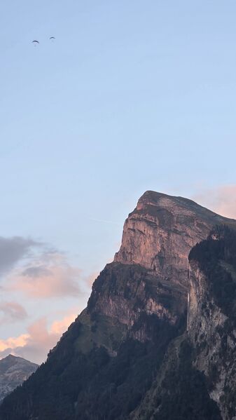 20260801_204857.jpg