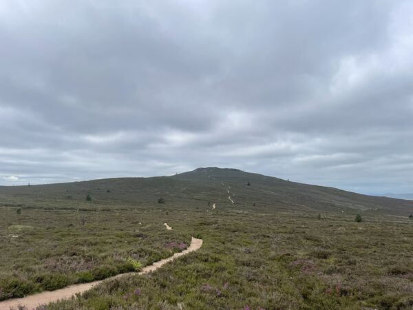 IMG_0909.jpeg