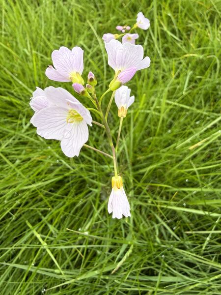 IMG_7914.jpeg
