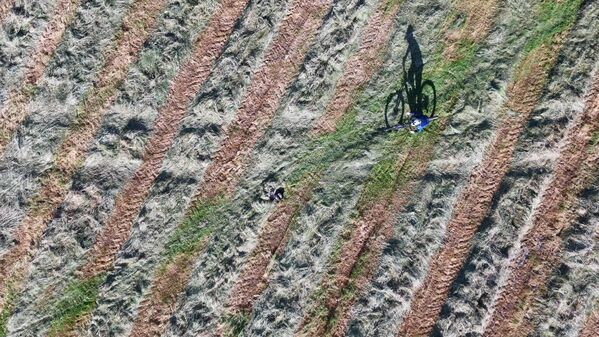 dji_fly_20260621_081746_0090_1782026329497_quickshot_exported_6906.jpg