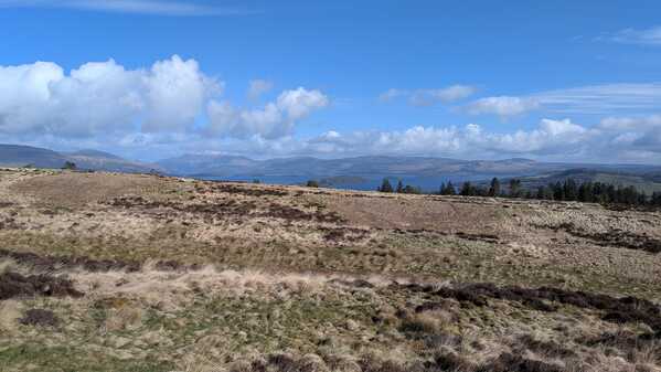 PXL_20260410_090714705.jpg