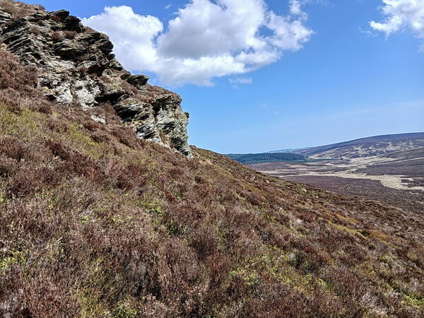 134520 At SJ1114038108.jpg