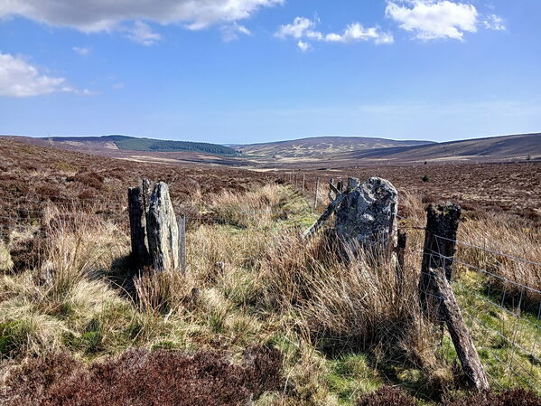 134950 At SJ1107637982 east.jpg