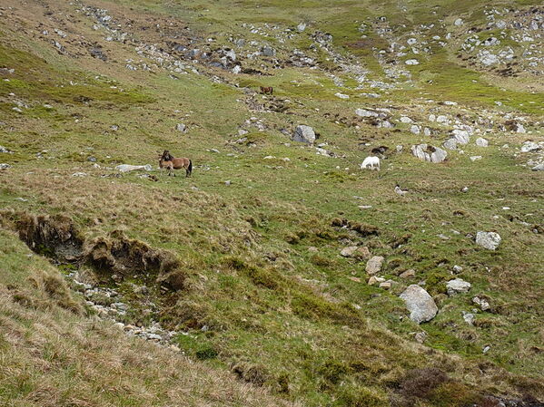 P1300713s.jpg