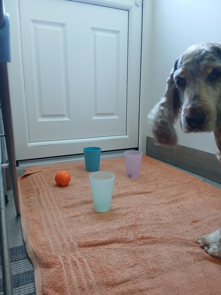 20260711_125045.jpg